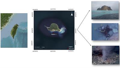 Bacterial community responses of the hydrothermal vent crab Xenograpsus testudinatus fed on microplastics